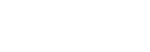Logo SnelNL