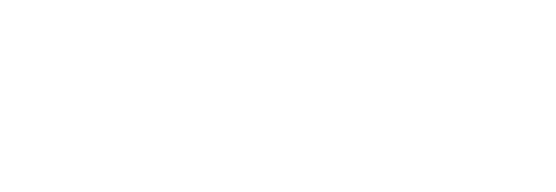 Logo SnelNL